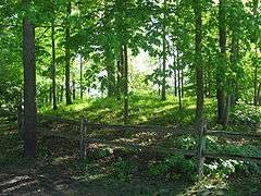 Dunns Pond Mound