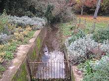 Edgwarebury Brook in Edgwarebury Park