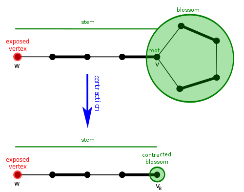 Example of a blossom