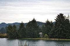 Photograph of the Benedict House, a dilapidated, wooden structure mostly hidden by trees, viewed across a channel of water