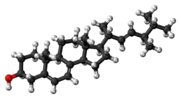 Ball-and-stick model of ergosterol