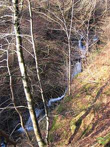 Long tortuous water fall in creek with bare woodland