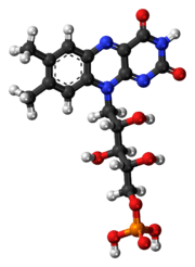 Ball-and-stick model of the flavin mononucleotide molecule