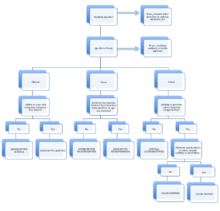 Flowchart for Assessment of Visual Agnosias.