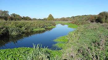 Frays River in Frays Farm Meadows