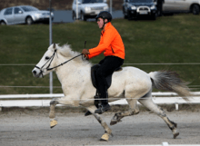 A gray horse being ridden at speed along a dirt track by a man in a bright orange shirt and black pants. A grassy bank and vehicles are seen in the background.