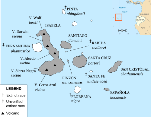 A map of the Galápagos with labels for names of the islands and their native species of tortoise