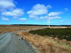 Several wind turbines with a gravel path leading around them.