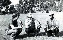 Three men with Eurasian sparrowhawks perching on their fists