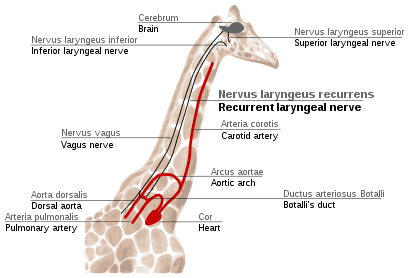 Figure 2f