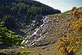 Glenmacnass Waterfall - geograph.org.uk - 1322457.jpg