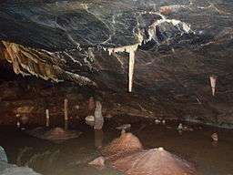 Dark brown cave interior with water. A white vertically hanging stalagmite shown above a brown mound on the cave floor.