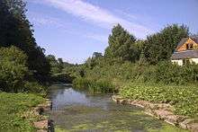 Stagnant water between banks covered in vegetation. Part of a house can be seen to the right.