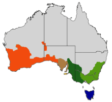 map of Australia showing multicolored area across south of the country