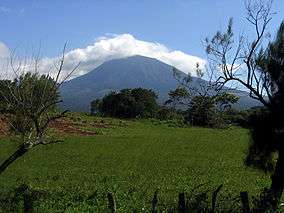 Mountain, grassland and some trees.