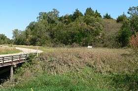 Fairly gentle tree-covered hill; no rocks or cliffs visible