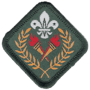 HKSAR Scout Award.png