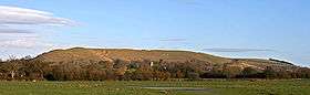 photo of Hambledon Hill seen from west