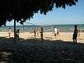 Harrisville state park volleyball.jpg