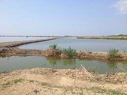 Dike, Hart-Miller Island State Park