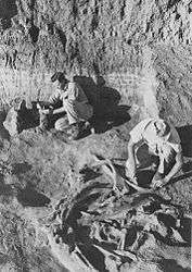 Naco-Mammoth Kill Site