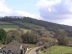 A hill covered in trees and green fields, with a house next to the road in the foreground.