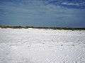 Honeymoon island, fl002.jpg