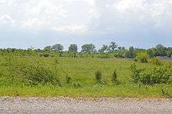 Horseshoe Lake Mound and Village Site