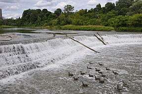 Water flows over a low dam over a river; one tree-lined bank of the river is visible.