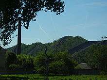 A colour photograph of an old semi-coke heap in Kiviõli, dated to 2005, with a large tree in the foreground. The heap is green.