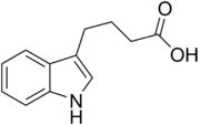 Skeletal structure diagram