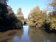 a course of quiet water between tree-lined banks