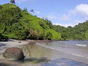 Hilly coast with grassland, forest and a sandy beach.