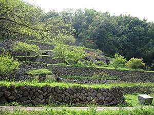 Ruins of terraces built on a hillside.