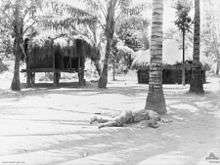 Two grass huts and some palm trees. One dead Japanese soldier lies at the base of a palm tree.