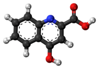 Ball-and-stick model of kynurenic acid