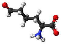 Ball-and-stick model of the L-allysine molecule as a zwitteiron