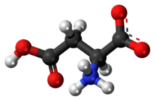 Ball-and-stick model of the L-aspartic acid molecule as a zwitterion