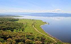 An aerial view of a large, grassy plain by the water. A small road zigzags through the field.