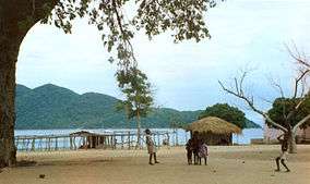 Several children are playing beneath a very large tree. A large, uninhabited island is surrounded by water in the background.