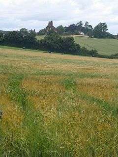 Church tower seen across fields