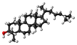 Ball-and-stick model of lanosterol