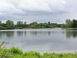 Loch of Forfar