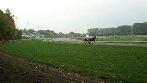 Racecourse seen from south