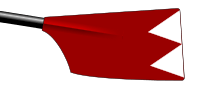 Image showing the rowing club's blade colours