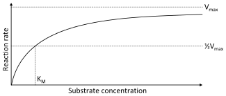 A two dimensional plot of substrate concentration (x axis) vs. reaction rate (y axis).  The shape of the curve is hyperbolic.  The rate of the reaction is zero at zero concentration of substrate and the rate asymptotically reaches a maximum at high substrate concentration.