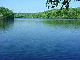 Tranquil blue pond