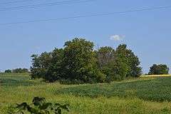 Mound Hill Archeological Site