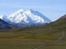 Denali seen through a green field