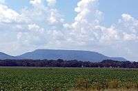 A flat, green, agricultural field with a rising Mount Nebo in the background.